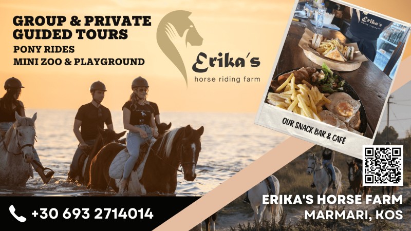 Group & Private Guided Tours. Pony Rides Mini Zoo & Playground